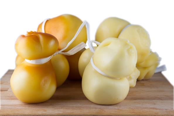 scamorza cheese