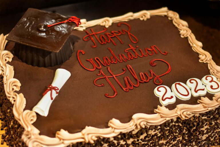 Chocolate graduation cake.