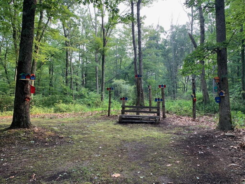 scouts pack 86 installed birdhouses