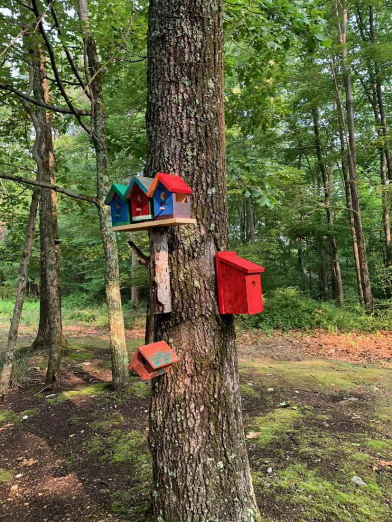 Colorful birdhouses hanging in the 1-mile loop at Stroudsmoor.