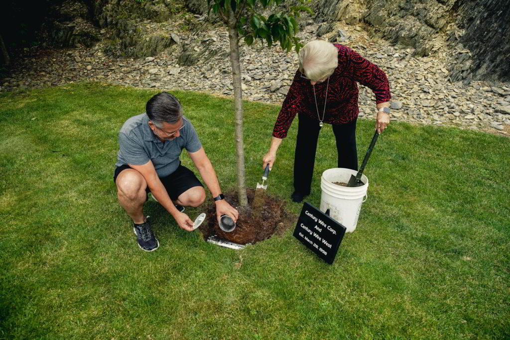 century wire tree planting 008