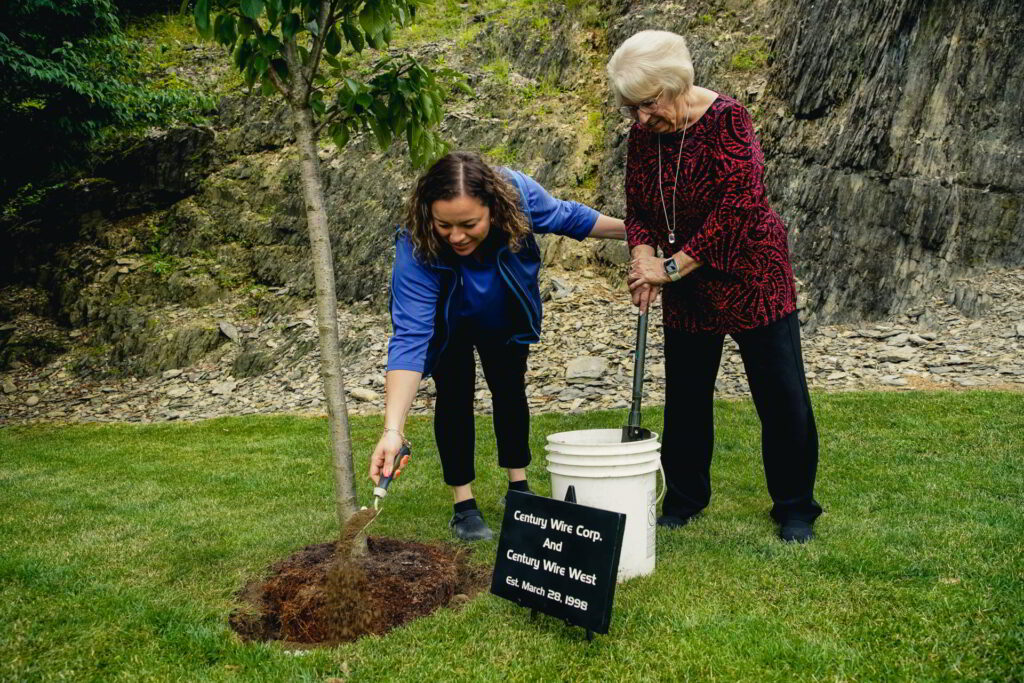 century wire tree planting 009