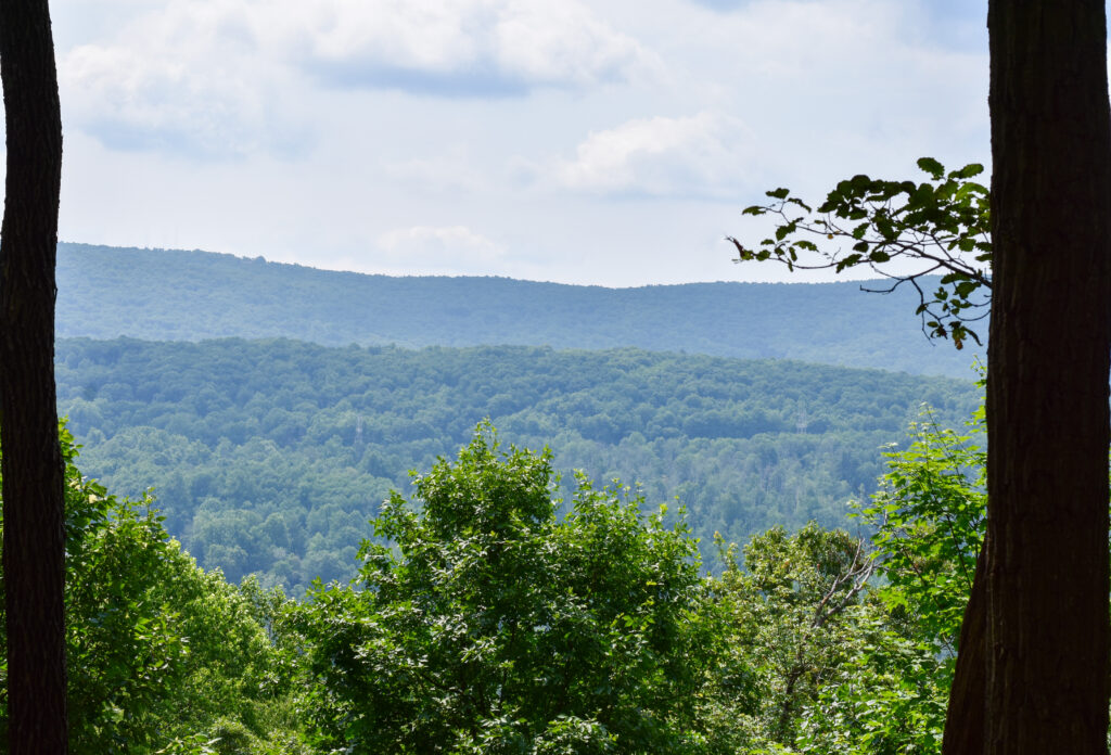 Trees frame view of Cherry Valley National Wildlife Refuge