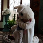 https://www.stroudsmoor.com/wp-content/uploads/2025/05/Easter2025-104.jpg