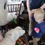 https://www.stroudsmoor.com/wp-content/uploads/2025/05/Easter2025-108.jpg