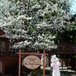 https://www.stroudsmoor.com/wp-content/uploads/2025/05/Easter2025-4.jpg