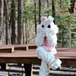 https://www.stroudsmoor.com/wp-content/uploads/2025/05/Easter2025-5.jpg