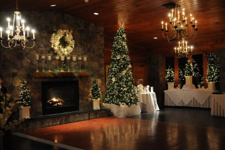 Lawnhaven christmas tree_DSC0084 (1)